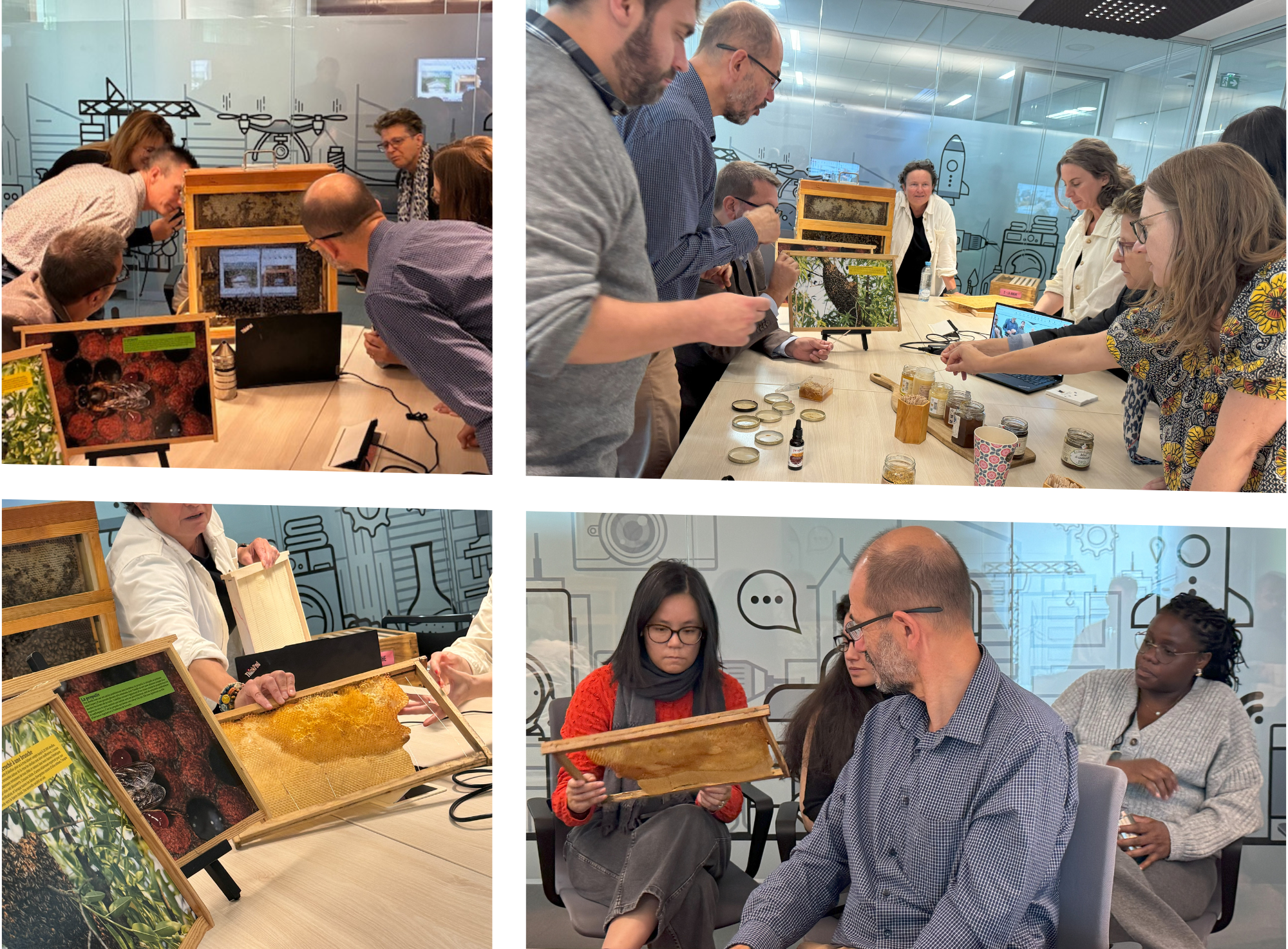 atelier beeplanete miel visale APAGL